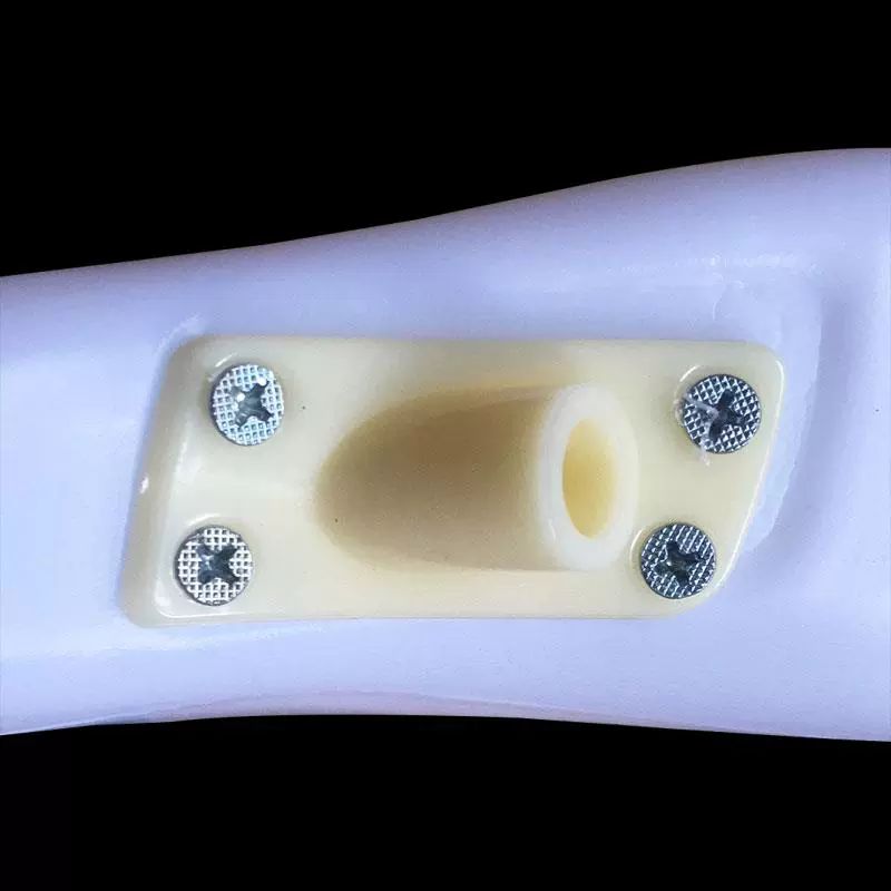하반신마네킹 의류매장 촬영 이너웨어 매장용 화이트 남성 팬츠 모델 공식 기본 세트 - 상세 이미지 5