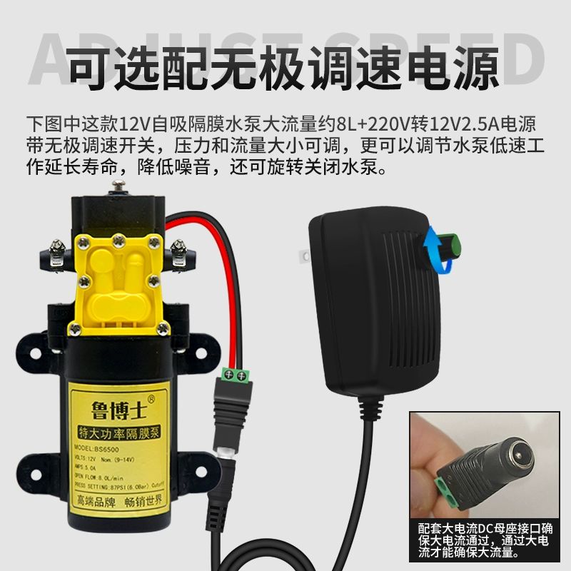 미니 소형 DC 전기 12V 펌프 4m 다이어프램 워터 24V 12V 대펌프 0.2m+더블클립+필터 - 상세 이미지 3