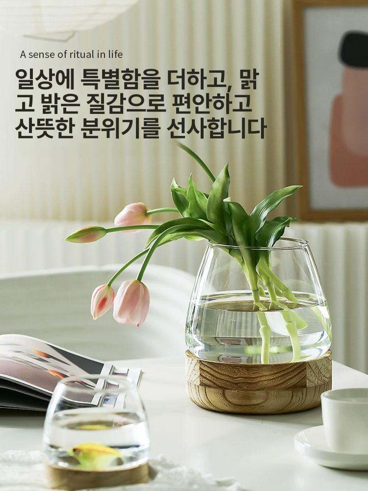 금붕어 구피 우파루파 대형 방폭 경량 어항세트 인테리어 2세대 특대형 수조 활체 동전풀 세트 - 상세 이미지 4