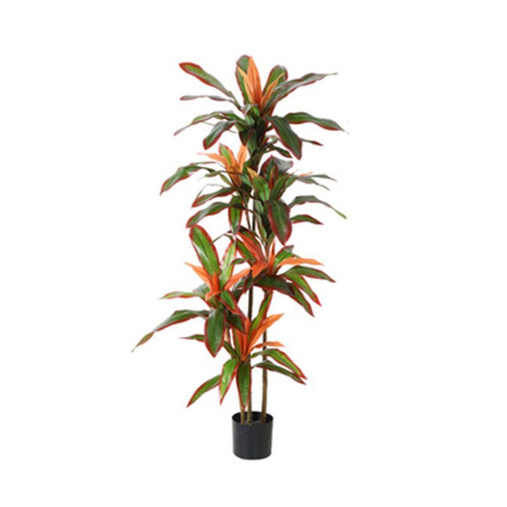 조화 150cm 드라세나 - 상품 이미지