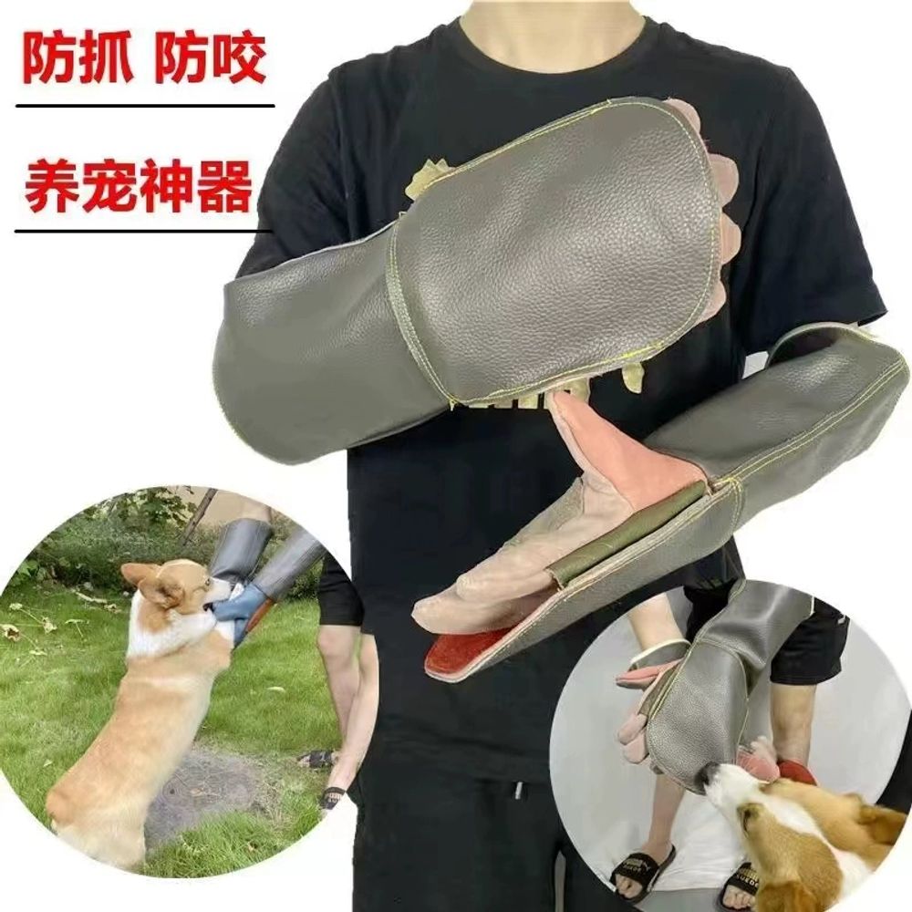 트레이너 특수 조련사 글러브 크랙 고양이 는 장갑 - 상세 이미지 5
