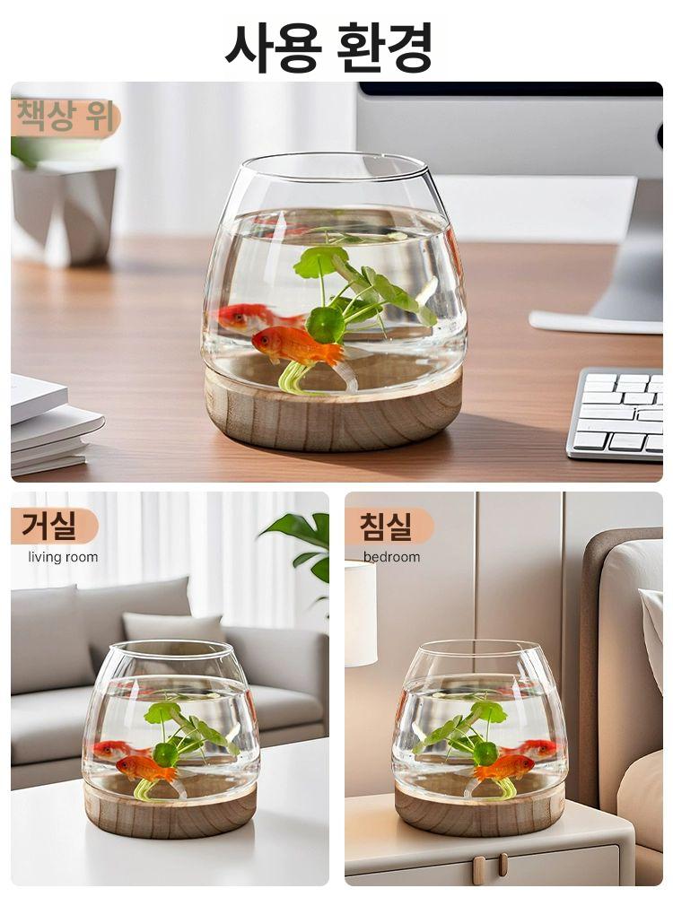 금붕어 구피 우파루파 대형 방폭 경량 어항세트 인테리어 2세대 특대형 수조 활체 동전풀 세트 - 상세 이미지 5