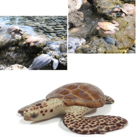 해신잡화점 모형 바다거북 피규어동물 동물모형 바다거북피규어