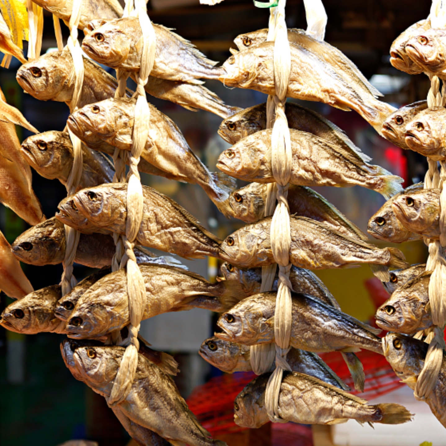 100% 참조기 굴비 선물세트 법성포 명절 선물용 굴비 세트