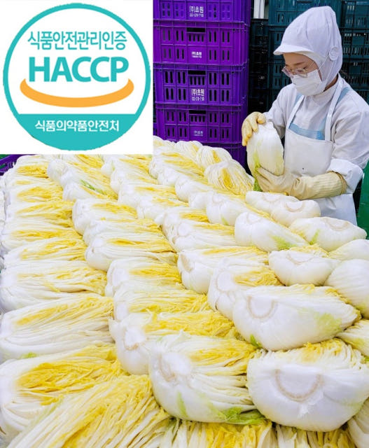 강원도 절임배추 절인 배추 고랭지 영월 김장 김치 10kg, 1개 - 상세 이미지 2