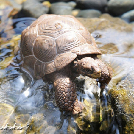 해신잡화점 모형완구 갈라파고스거북이 바다동물장난감
