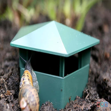 달팽이 집 장수풍뎅이집 사육통 소라게 애완달팽이