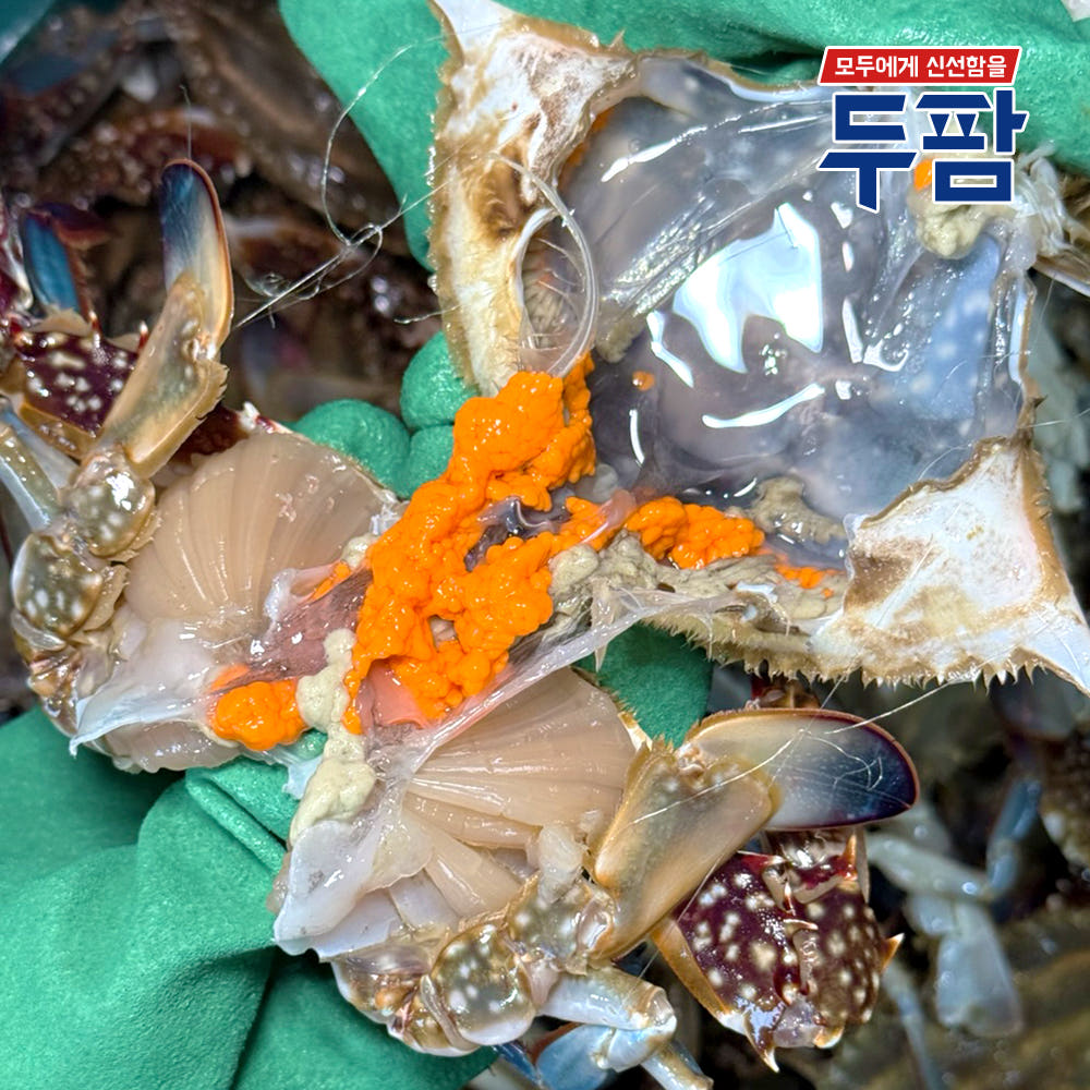 인천 연평 제철 서해안 꽃게 1kg 숫꽃게 암꽃게 냉동꽃게 이미지 4