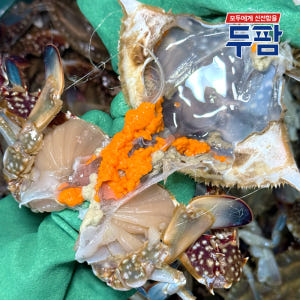 인천 연평 제철 서해안 꽃게 1kg 숫꽃게 암꽃게 냉동꽃게 맛있게 먹은 솔직 후기 - 상품 이미지 4