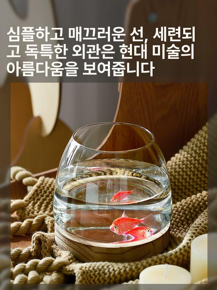 금붕어 구피 우파루파 대형 방폭 경량 어항세트 인테리어 2세대 특대형 수조 활체 동전풀 세트 - 상세 이미지 3