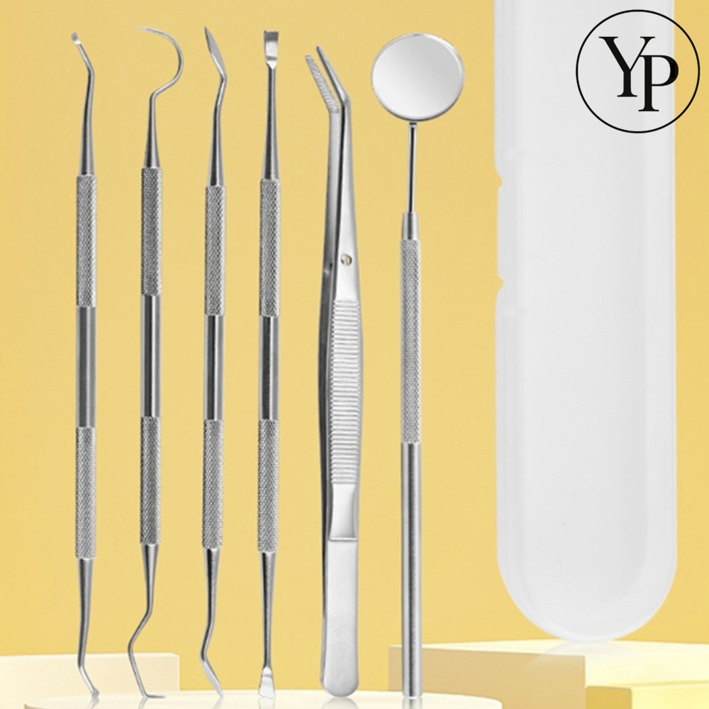 가정용 애견 치석 제거기 고양이 강아지 6종 세트 셀프 스케일링 애견 치아관리 기구