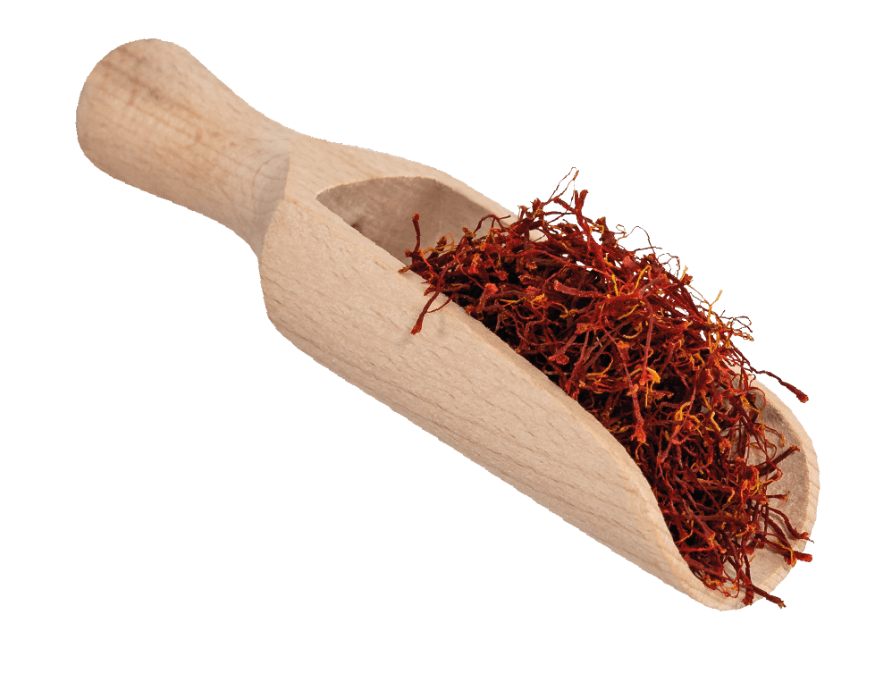 샤프란향신료 샤프론 샤프란 차 향신료 티 사프론 사프란 SAFFRON 1g - 상세 이미지 4