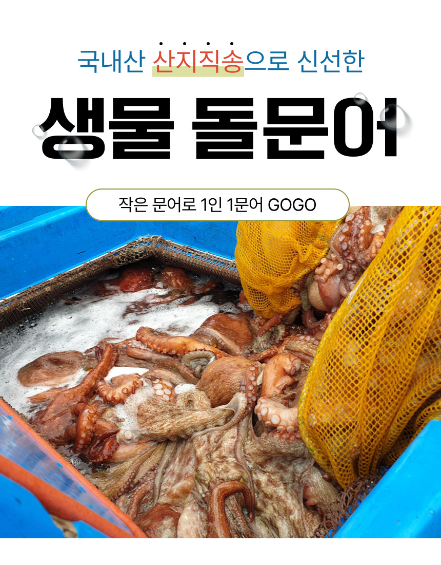 고흥 국내산 급냉 작은문어 1kg 4-6미내외 라면용 1인용 소문어 - 상세 이미지 2