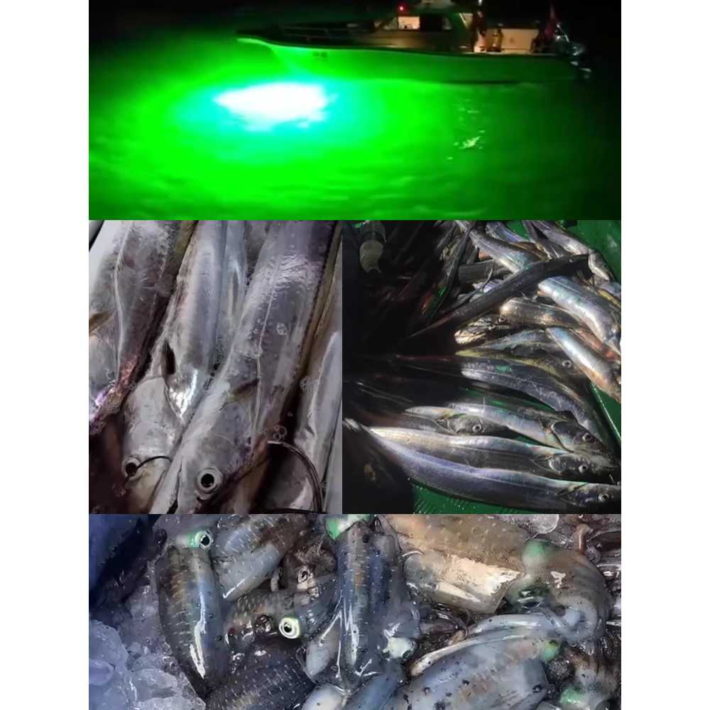 수중집어등 줄보기 풀치 갑오징어 방수 뽈락 쭈꾸미 녹색 200W(4개)-16시간 - 상세 이미지 4