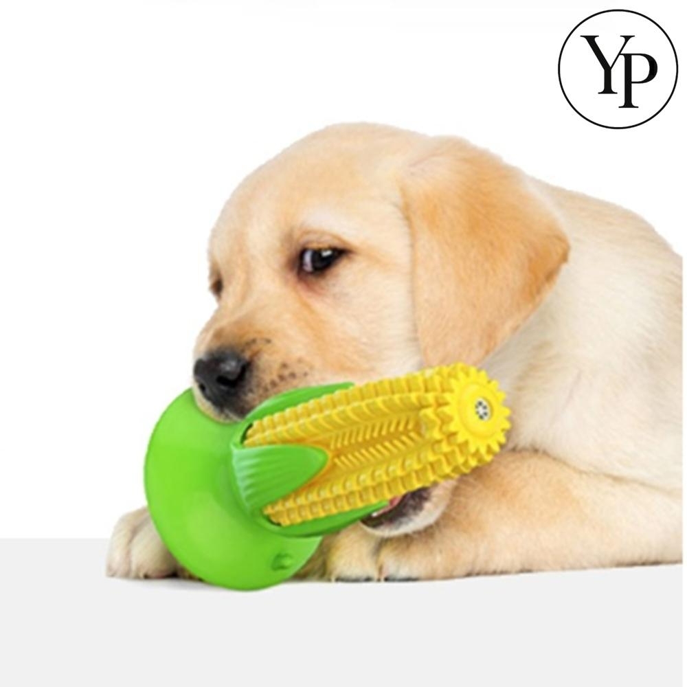 강아지 치석 제거 장난감 셀프 스케일링 옥수수 칫솔 이갈이 유치 고무 실리콘 잇몸 마사지