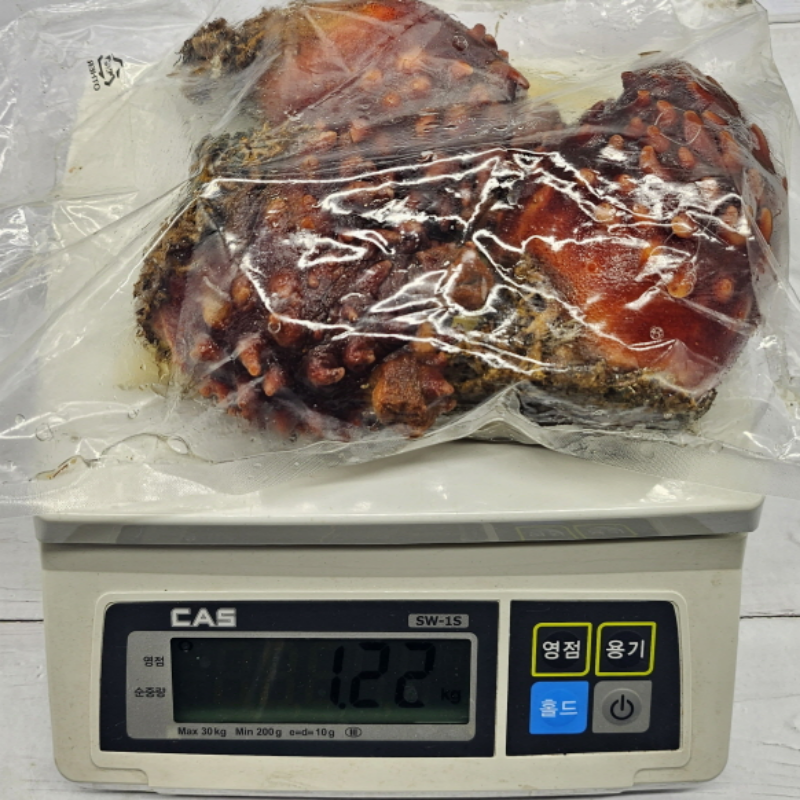 자연가득 자연산 특대짜 참 멍게 1kg 3-5미내외 - 상세 이미지 4