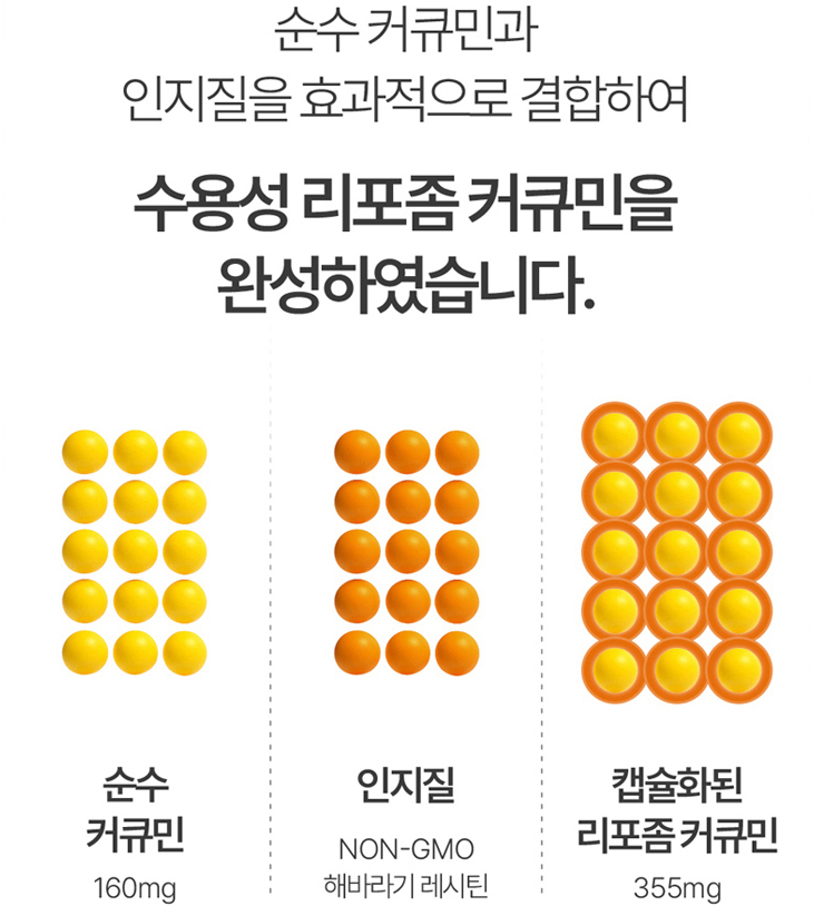 수용성 리포좀커큐민 고함량 강황 커큐민 이미지 8