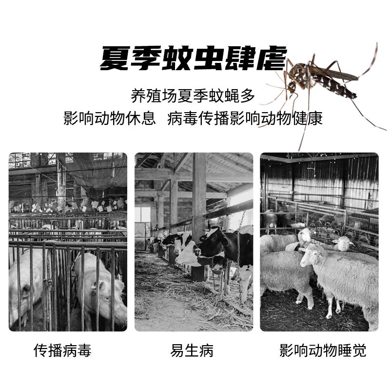 해충퇴치기 나방 포충기 유인기 태양광 포집기 나비 클래식모기포켓형모기퇴치기 - 상세 이미지 5