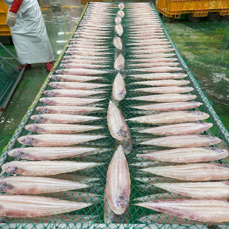 자연가득 반건조 박대 5미 350g-1kg 이미지 8