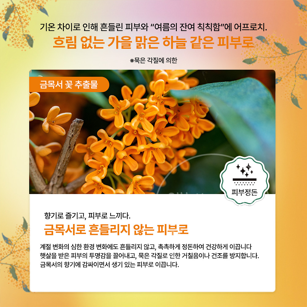 프리미엄 루루룬 마스크팩 금목서 21매입 - 상세 이미지 3