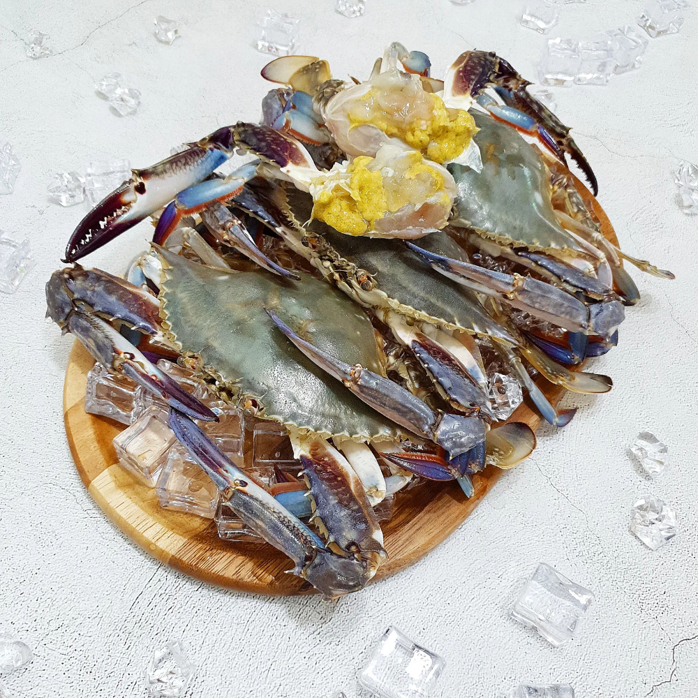 25년 첫조업 제철 가을 활 숫꽃게 활꽃게 1kg (3-5미) - 상품 이미지
