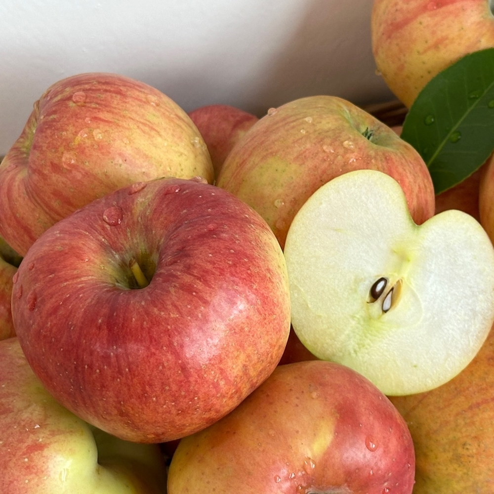 [힘찬열매] 홍로사과 햇사과 가정용 못난이 경북 꿀사과
