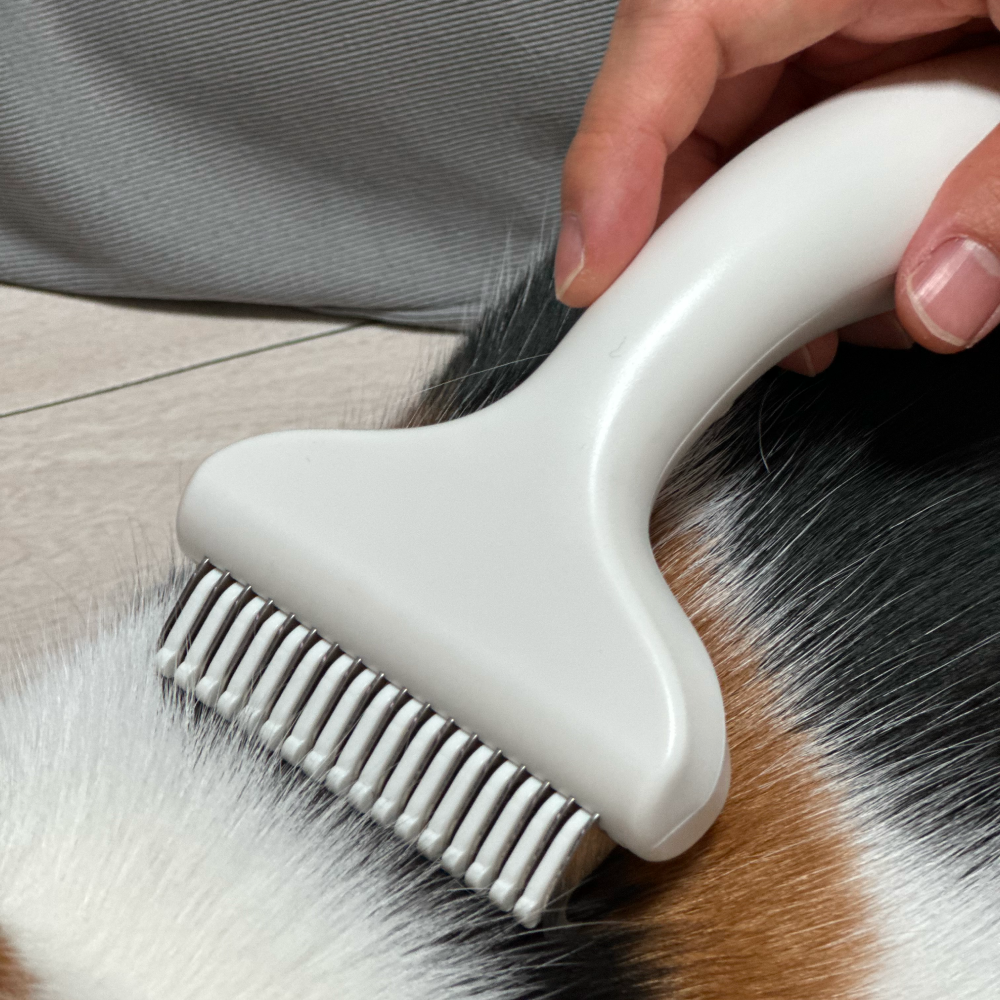 고양이 털 빗 펫브러쉬 냐옹다옹