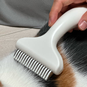 고양이 털 빗 펫브러쉬 냐옹다옹 솔직 후기 | 실제 사용자 리뷰 총정리 - 상품 이미지 4