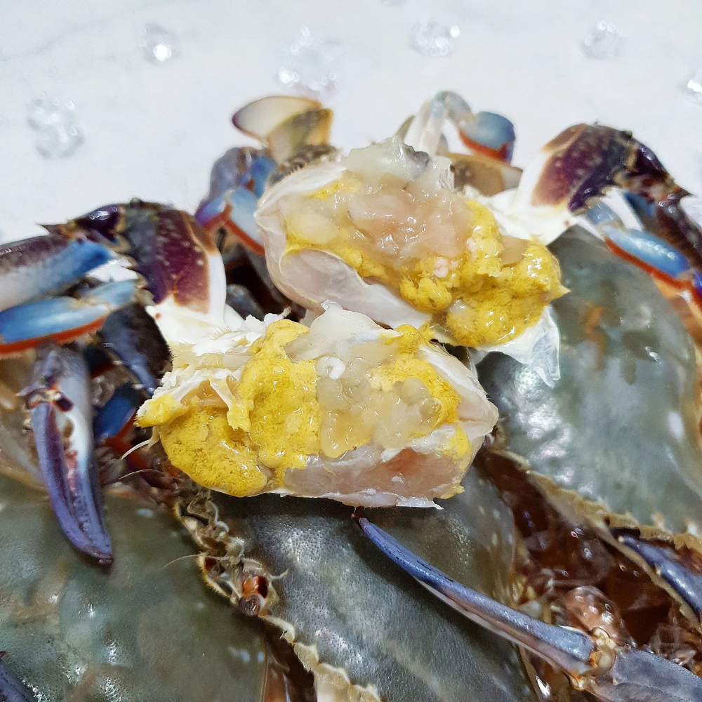 25년 첫조업 제철 가을 활 숫꽃게 활꽃게 1kg (3-5미) - 상세 이미지 2