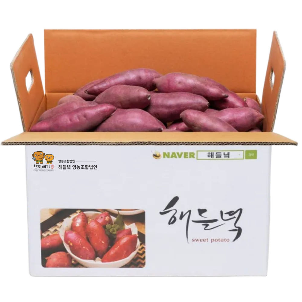 무농약 해들녘 세척 고창 황토고구마 10kg x (왕/ 특상/ 중/ 한입) 사이즈 : 해들녘고구마