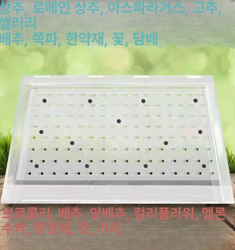 트레이 파종기 양파 씨앗 텃밭 상추 참깨 마늘 50구-2.5mm 배추 콜라비 꽃꽃이 - 상세 이미지 3