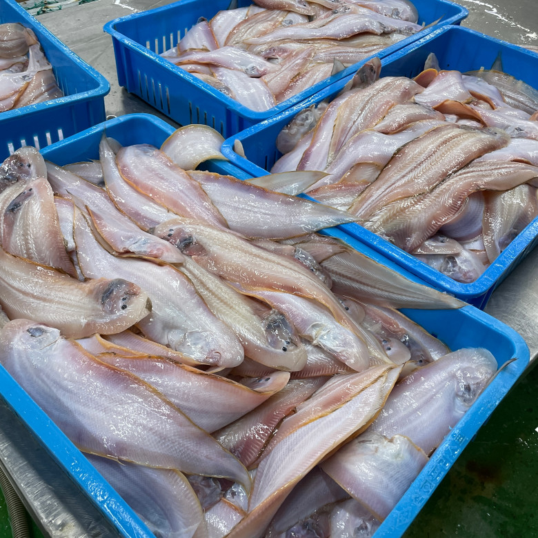 자연가득 반건조 박대 5미 350g-1kg 이미지 7