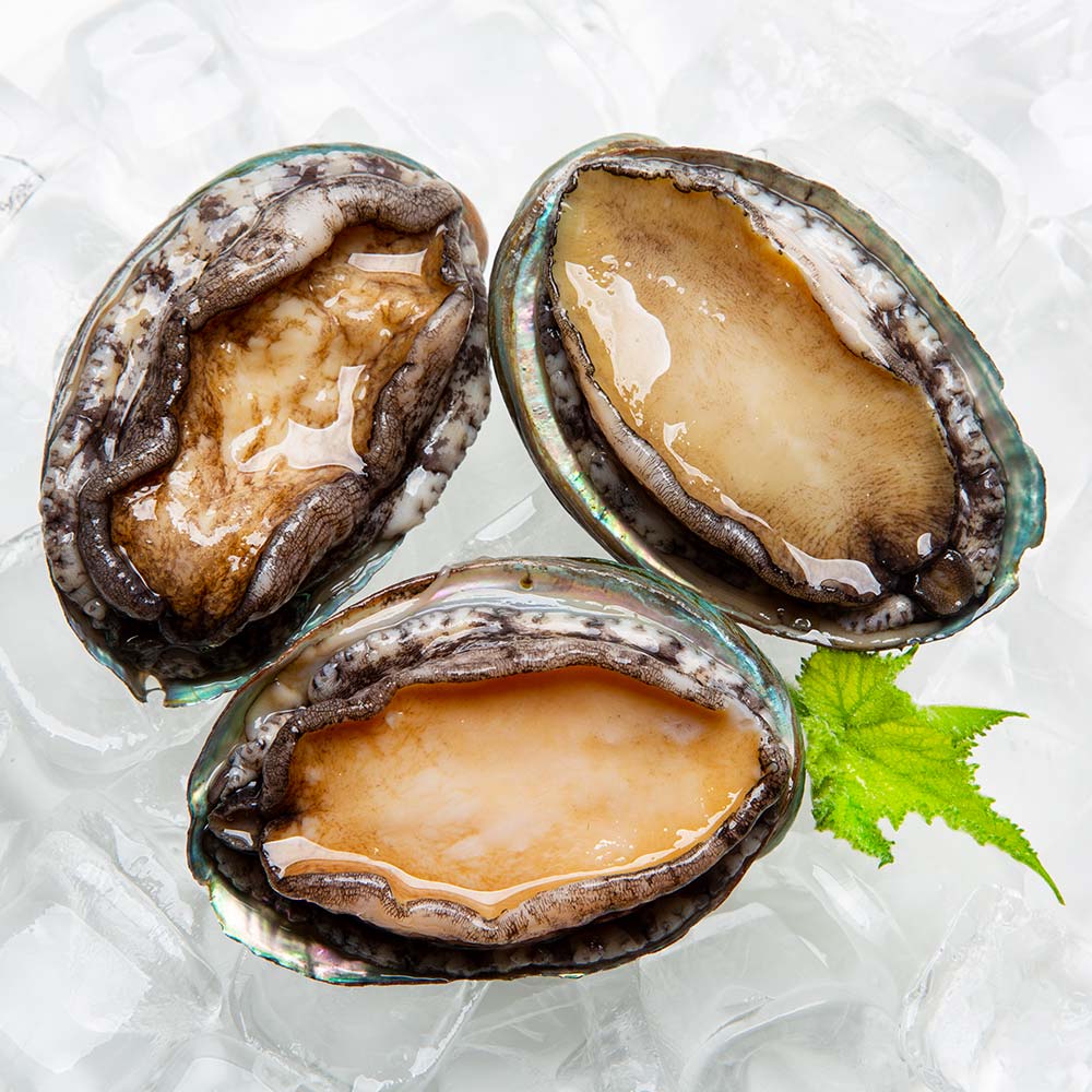 완도직송 활전복 선물포장 추석 선물세트 1kg 7-15미 - 상세 이미지 3
