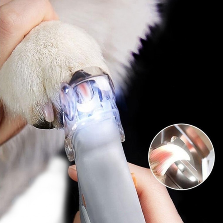 셀프 강아지 고양이 반려동물 LED 발톱깎기 손톱정리 네일케어 충전식 안전조명 펫 미용 관리기구 다듬기 - 상품 이미지