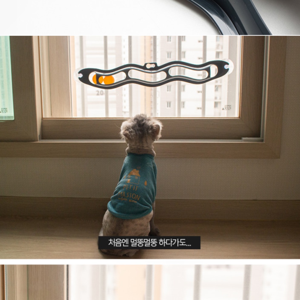 움직이는 고양이 장난감 고양이 놀이방법 셀프 트랙볼 공 놀이기구 혼자놀기 - 상세 이미지 2