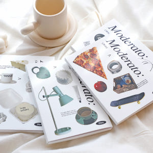 플레플레 2026 모데라토 다이어리 (날짜형) 실사용 후기 | 효과 있을까? - 상품 이미지 3