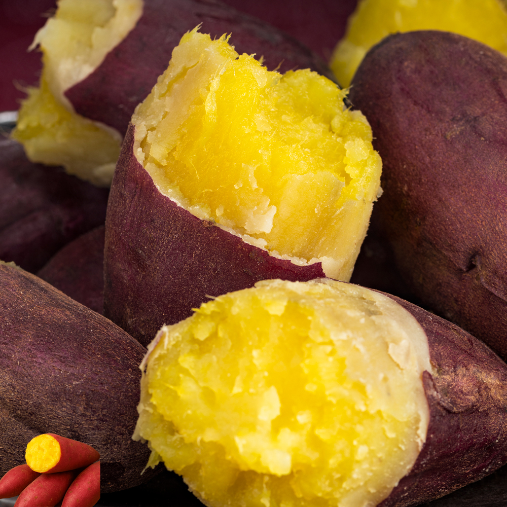 꿀맛 가득 해남고구마 베니하루카 한입 중상급 비세척 산지직송 2kg - 상세 이미지 2