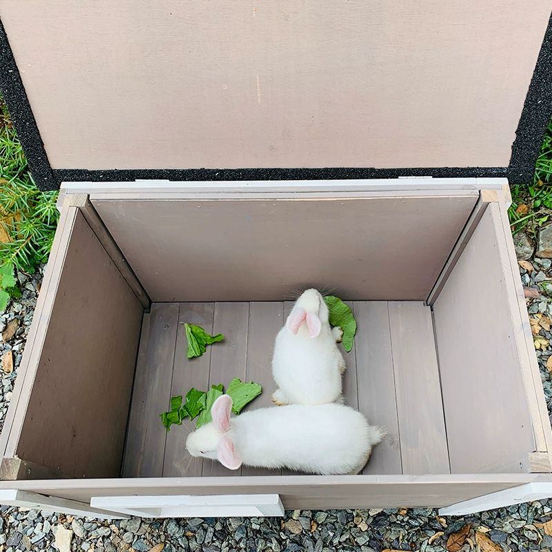 실외 고양이집 길냥이 야외 방한 용 방수 마당 겨울집 MW-006 단층 42x34x31cm 프리사이즈 - 상세 이미지 4