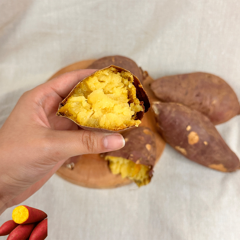 꿀맛 가득 해남고구마 베니하루카 한입 중상급 비세척 산지직송 2kg - 상세 이미지 5