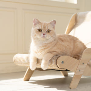 프레이즈펫 프리미엄 비치체어 스크래쳐 - 특대 와이드형 매트 리필 교체 ... 솔직 후기 | 실제 사용자 리뷰 총정리 - 상품 이미지 4