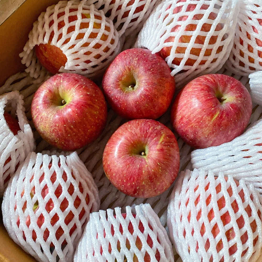 사과 청송 문경 시나노골드 감홍 꿀사과 못난이 부사흠과 5kg 10kg