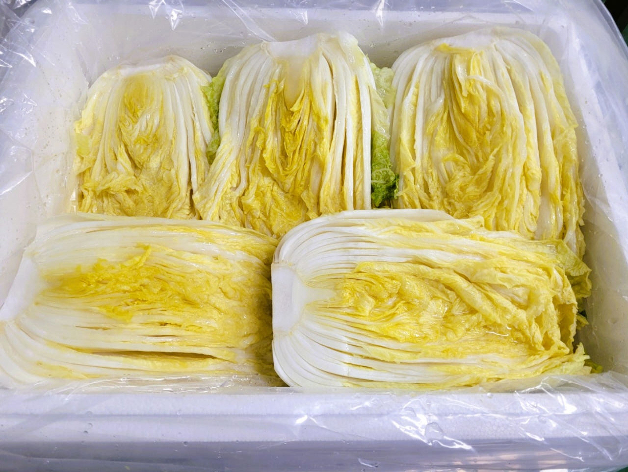 두메 절임배추 양념세트 김장 밀키트 김치만들기 영월 고랭지배추 HACCP 10kg, 1개 - 상세 이미지 5