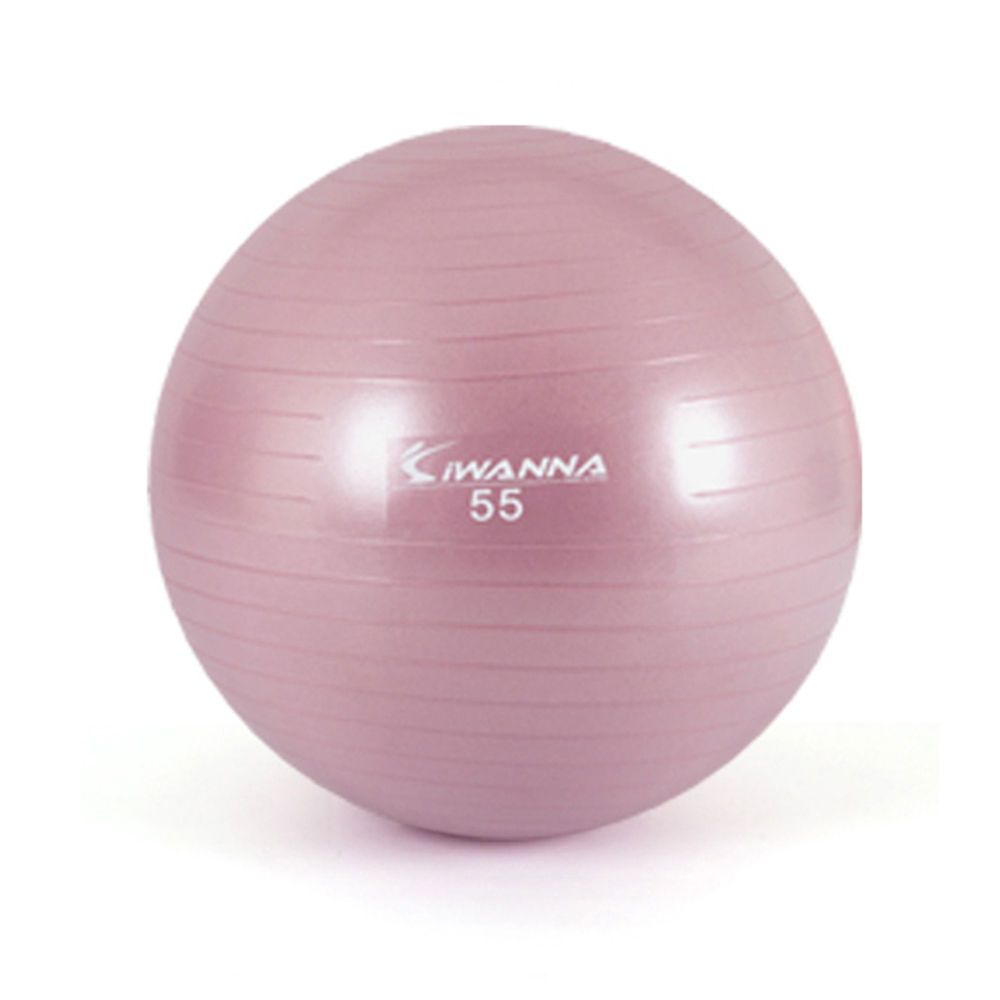 짐볼 55cm 와일드핑크 - 상품 이미지