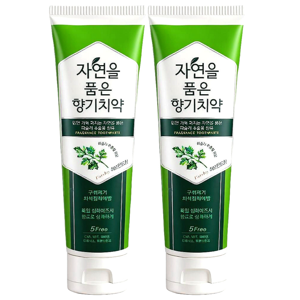 자연을품은향기 천연 잇몸 치석 구취제거 입냄새 치약 120g, 2개 - 상품 이미지