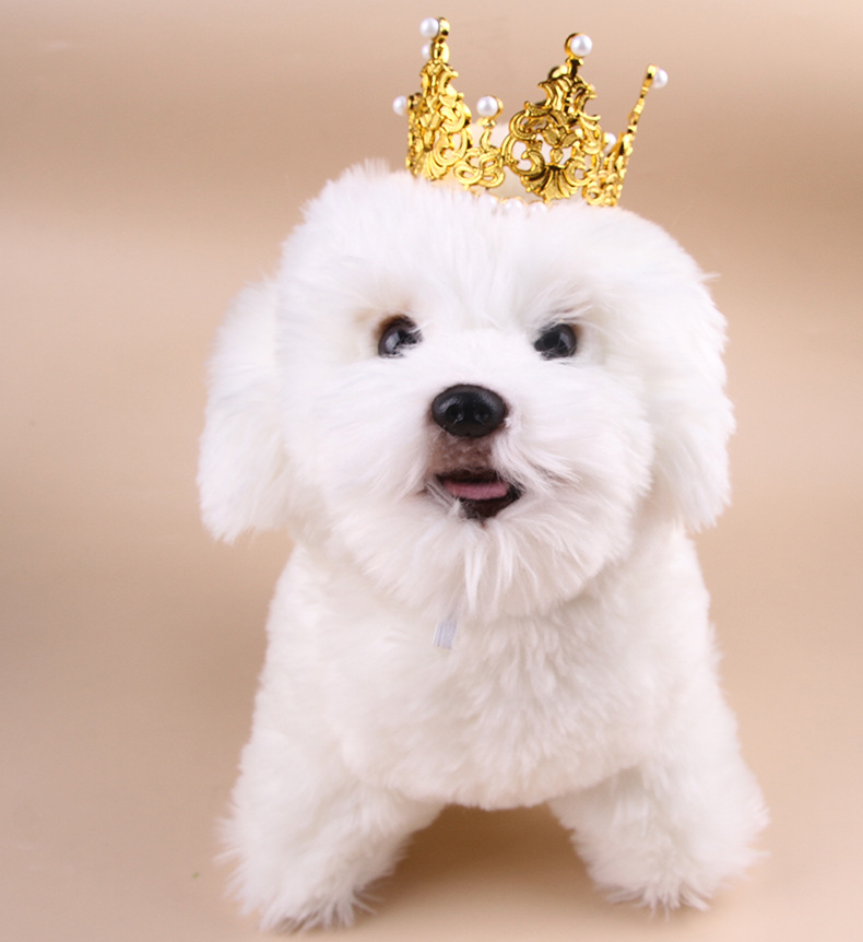 위드레오 강아지 고양이 왕관 진주 티아라 할로윈 강아지코스튬 생일 파티 사진촬영 - 상세 이미지 4