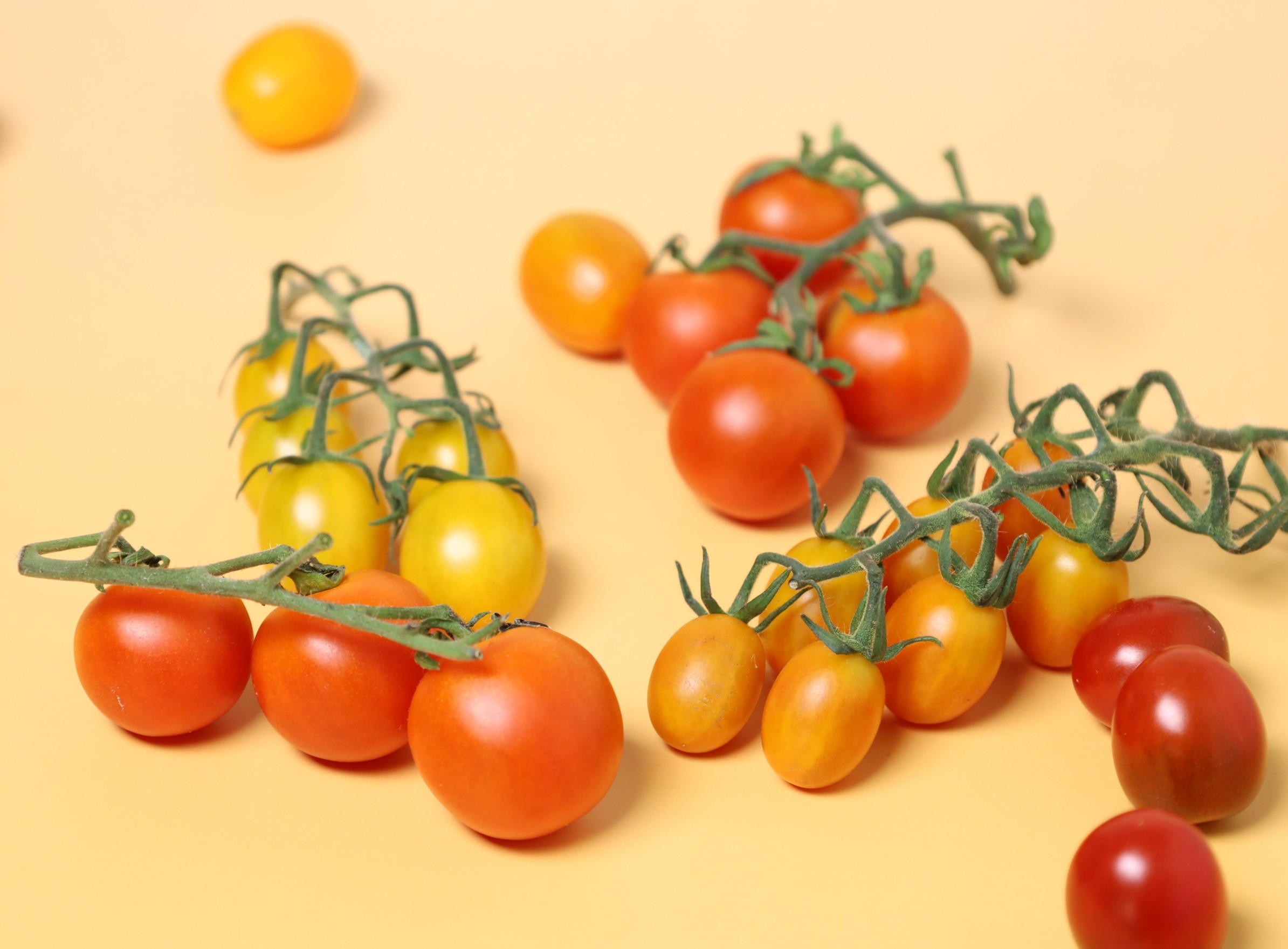 프리미엄 구성포 방울 토마토 2kg 4kg 단일 4색 혼합 선택 가능