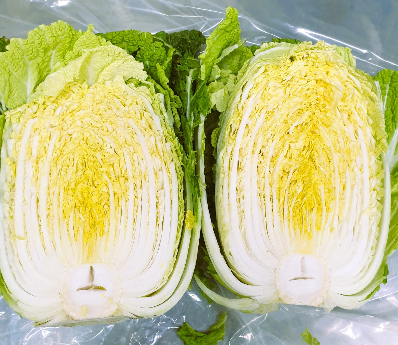 두메 절임배추 양념세트 김장 밀키트 김치만들기 영월 고랭지배추 HACCP 10kg, 1개 - 상세 이미지 4