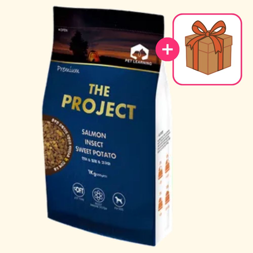 펫러닝 더 프로젝트 강아지 사료 연어, 1kg, 1개
