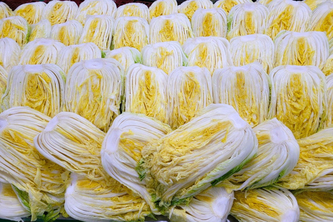 두메 절임배추 양념세트 김장 밀키트 김치만들기 영월 고랭지배추 HACCP 10kg, 1개 - 상세 이미지 3