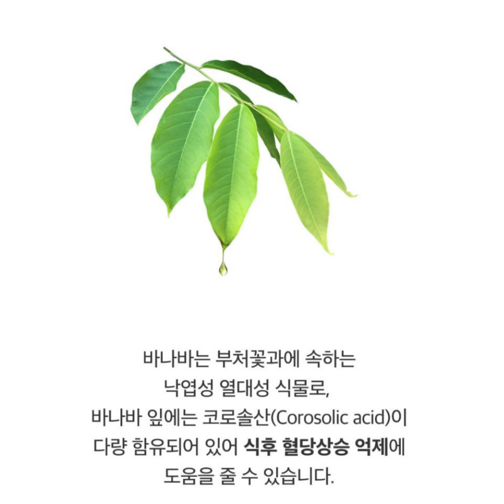 위드바이오 바나바 프리미엄 공복 혈당 블러드 소각제 마스터 파이터 약2달 60캡슐, 1개 - 상세 이미지 4